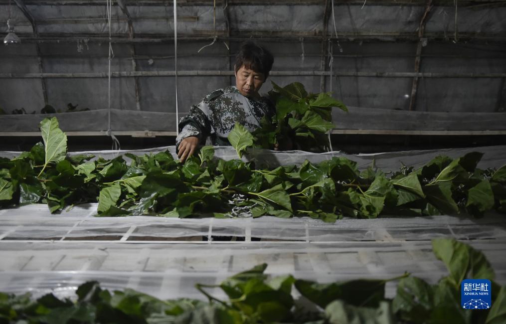 乐游网官网下载